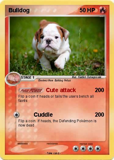 Pokemon Bulldog