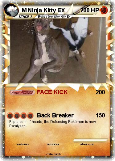 Pokemon M Ninja Kitty EX