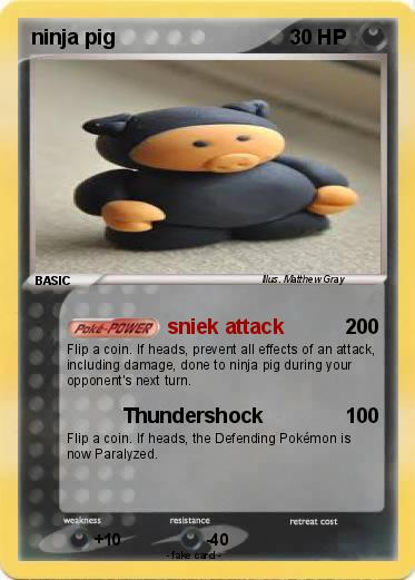Pokemon ninja pig