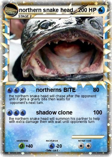 Pokemon northern snake head