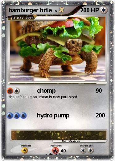 Pokemon hamburger tutle
