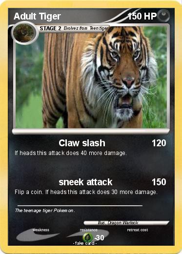 Pokemon Adult Tiger
