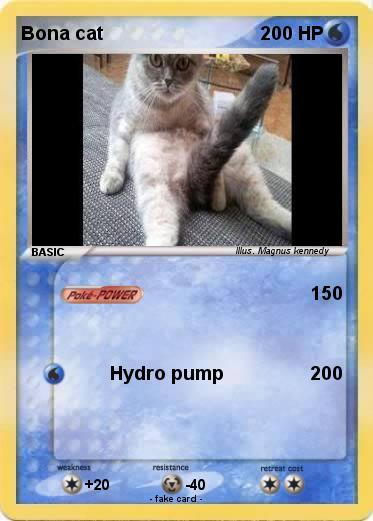 Pokemon Bona cat