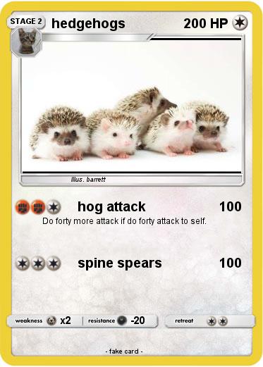 Pokemon hedgehogs