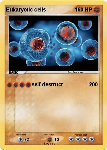 Pokemon Eukaryotic cells