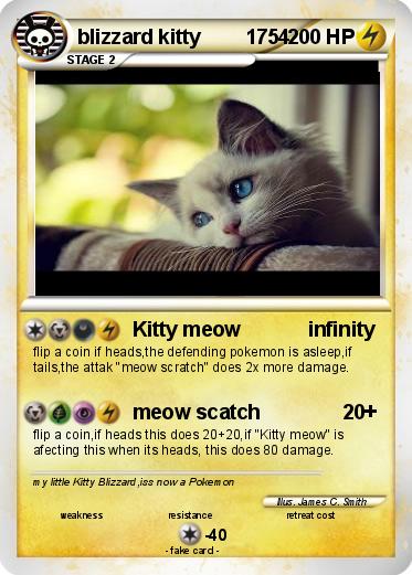 Pokemon blizzard kitty        1754