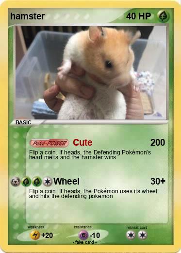 Pokemon hamster