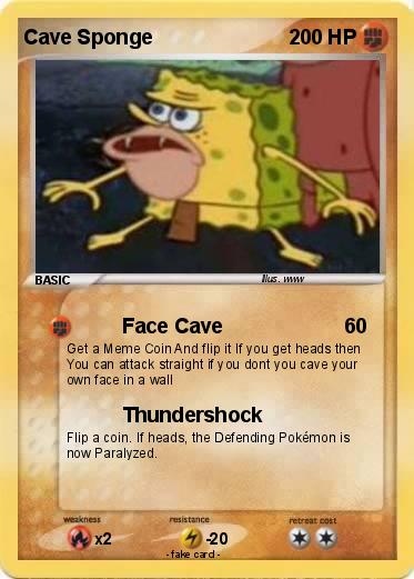 Pokemon Cave Sponge