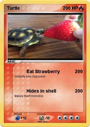 Pokemon Turtle