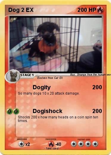 Pokemon Dog 2 EX