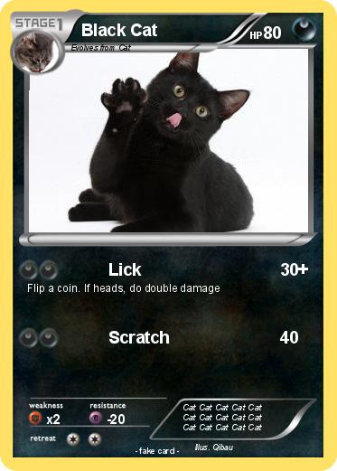 Pokemon Black Cat