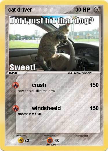 Pokemon cat driver
