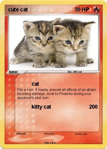 Pokemon cute cat