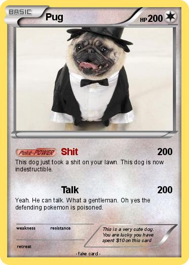 Pokemon Pug