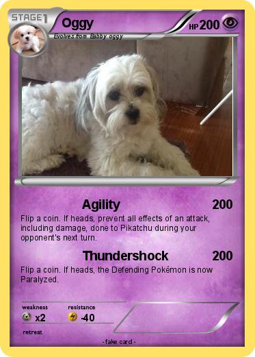 Pokemon Oggy