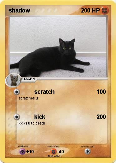 Pokemon shadow