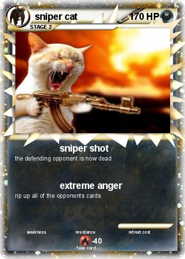 Pokemon sniper cat