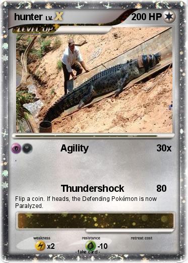 Pokemon hunter