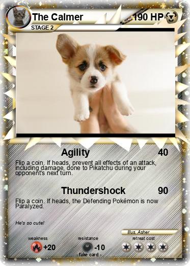 Pokemon The Calmer