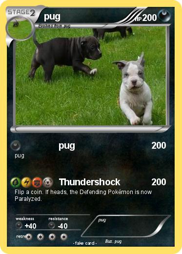 Pokemon pug