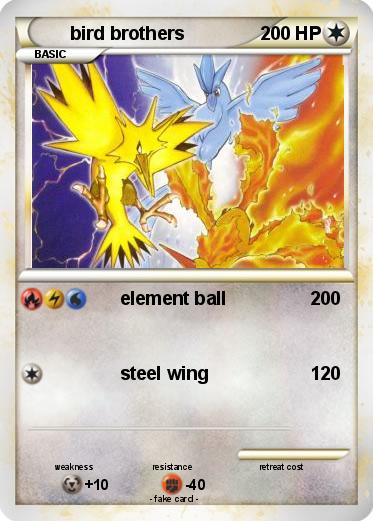 Pokemon bird brothers