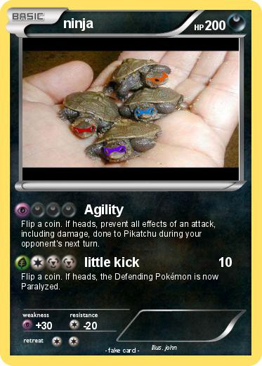Pokemon ninja