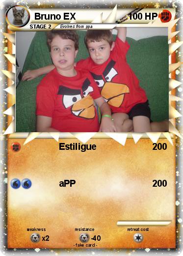 Pokemon Bruno EX