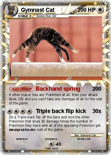 Pokemon Gymnast Cat