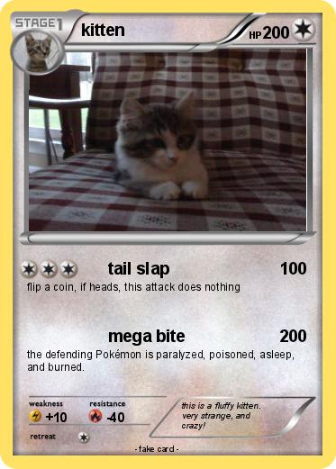 Pokemon kitten