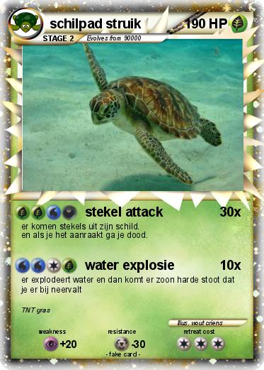 Pokemon schilpad struik