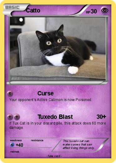 Pokemon Catto