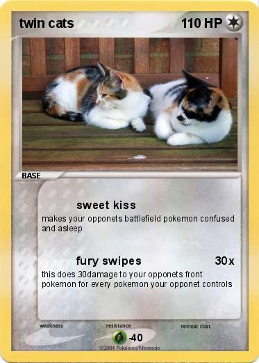 Pokemon twin cats