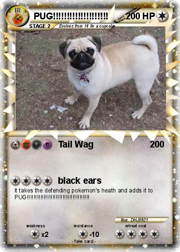Pokemon PUG!!!!!!!!!!!!!!!!!!!!