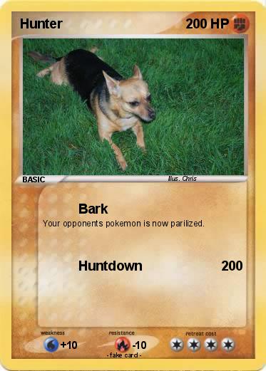 Pokemon Hunter