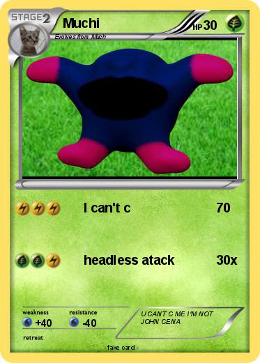 Pokemon Muchi