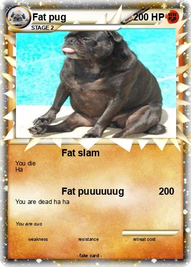 Pokemon Fat pug