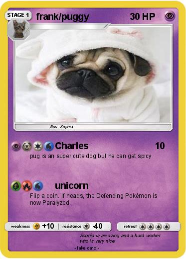 Pokemon frank/puggy