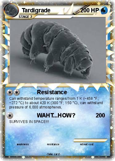 Pokemon Tardigrade