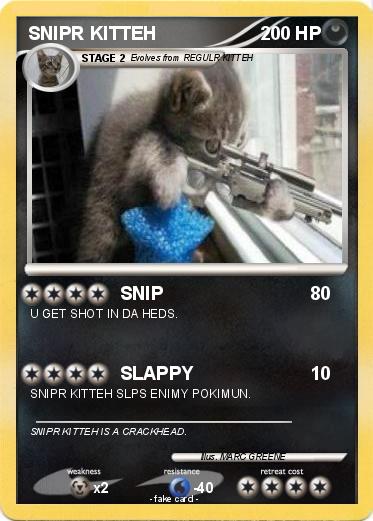 Pokemon SNIPR KITTEH