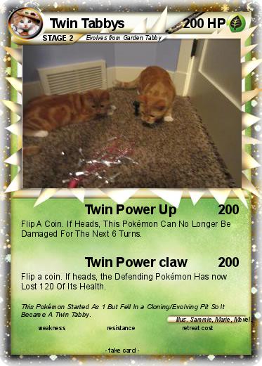Pokemon Twin Tabbys
