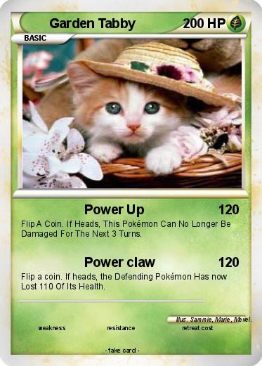 Pokemon Garden Tabby