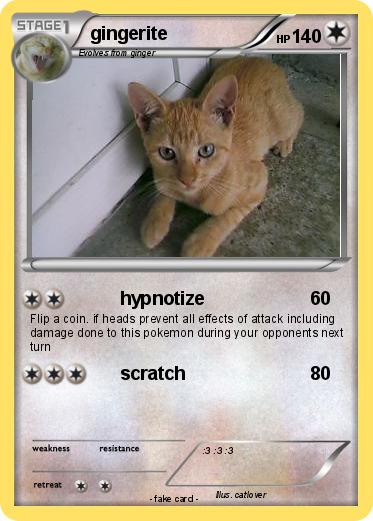 Pokemon gingerite