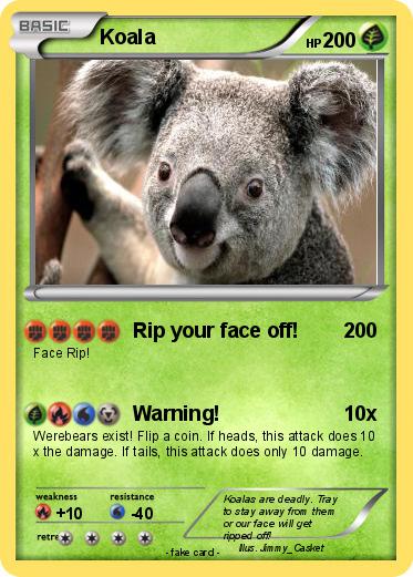 Pokemon Koala