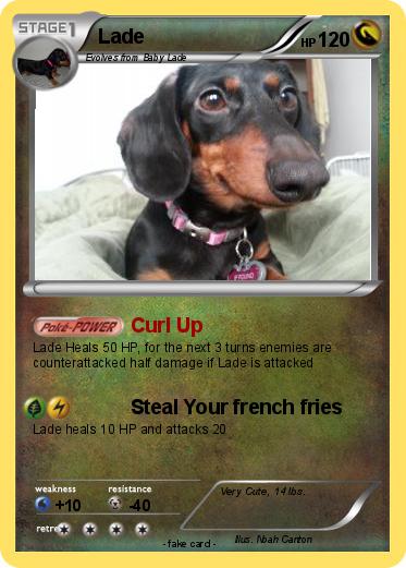 Pokemon Lade
