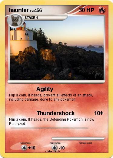 Pokemon haunter