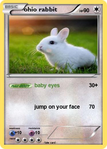 Pokemon ohio rabbit