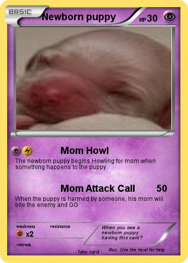 Pokemon Newborn puppy