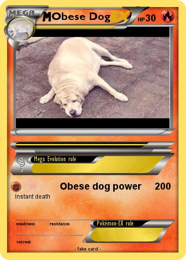 Pokemon Obese Dog