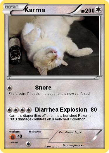 Pokemon Karma