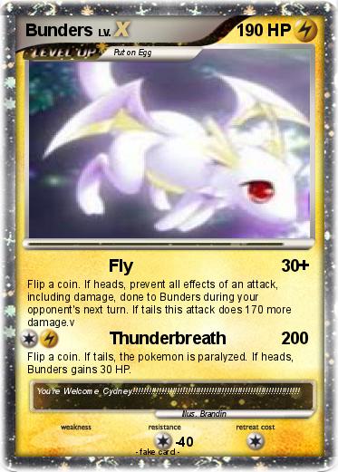 Pokemon Bunders